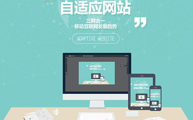 成都優(yōu)質(zhì)軟件公司與網(wǎng)站建設(shè)開發(fā)費用解析