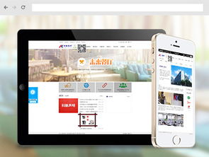 沙漠風網站建設公司 為軟件企業打造卓越在線門戶的典范